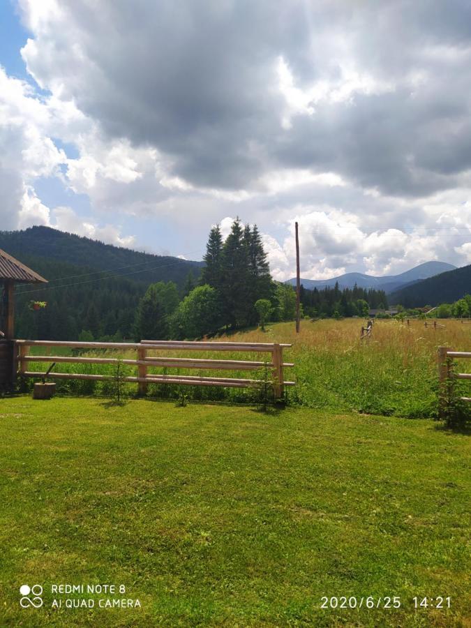 Ferienwohnung Під Явором Worochta Exterior foto